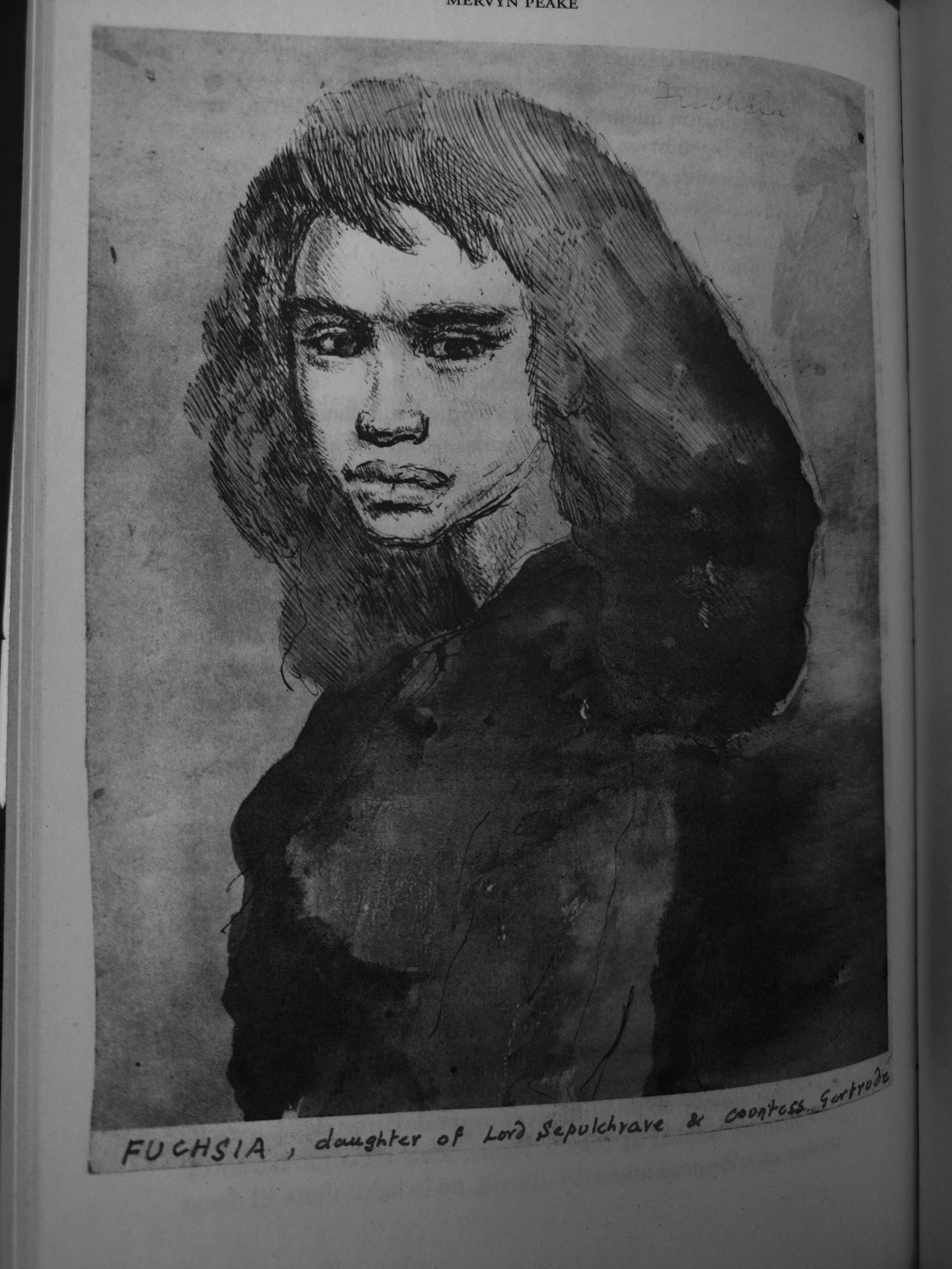 Dibujo de una mujer joven, de pelo negro largo y cara apesumbrada.
Representa a Lady Fucsia, personaje de Gormenghast.