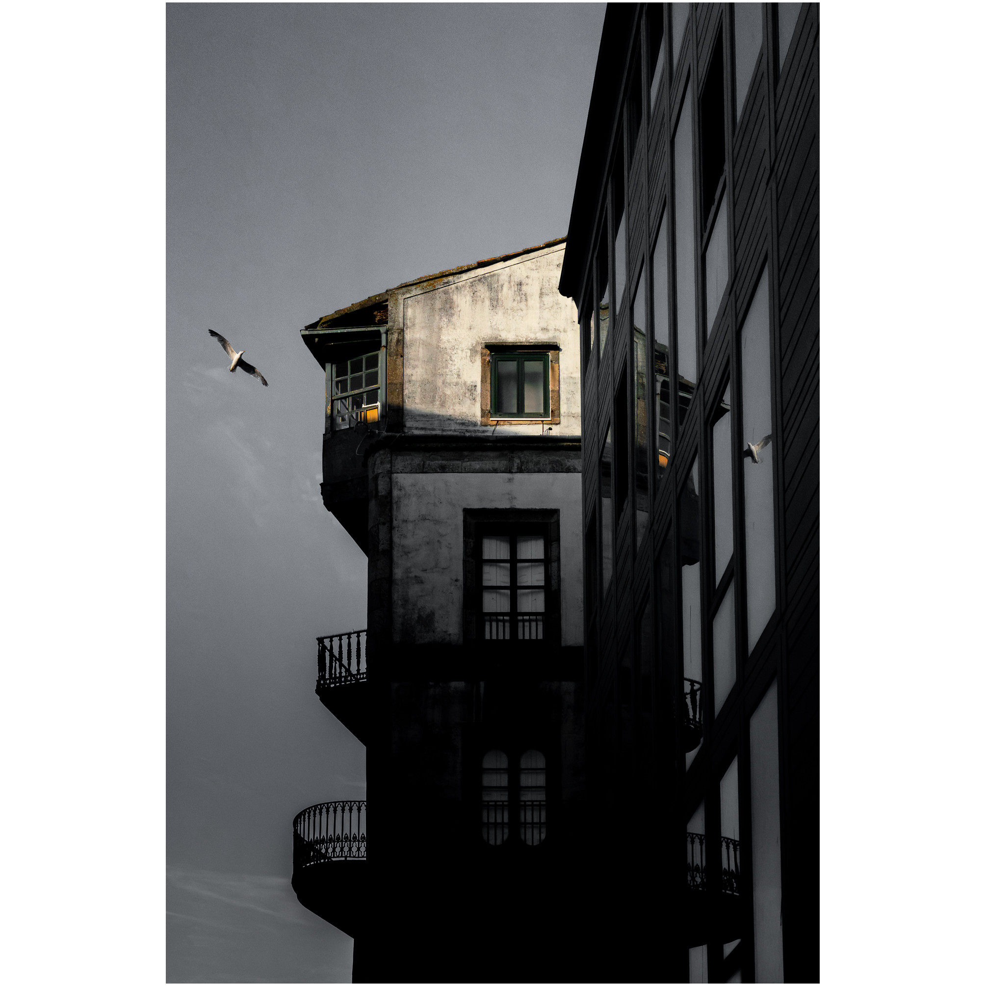 A vertical photo of a building at sunset, lit only at the top, with a seagull flying overhead, its silhouette reflected in one of the windows of the building on the right