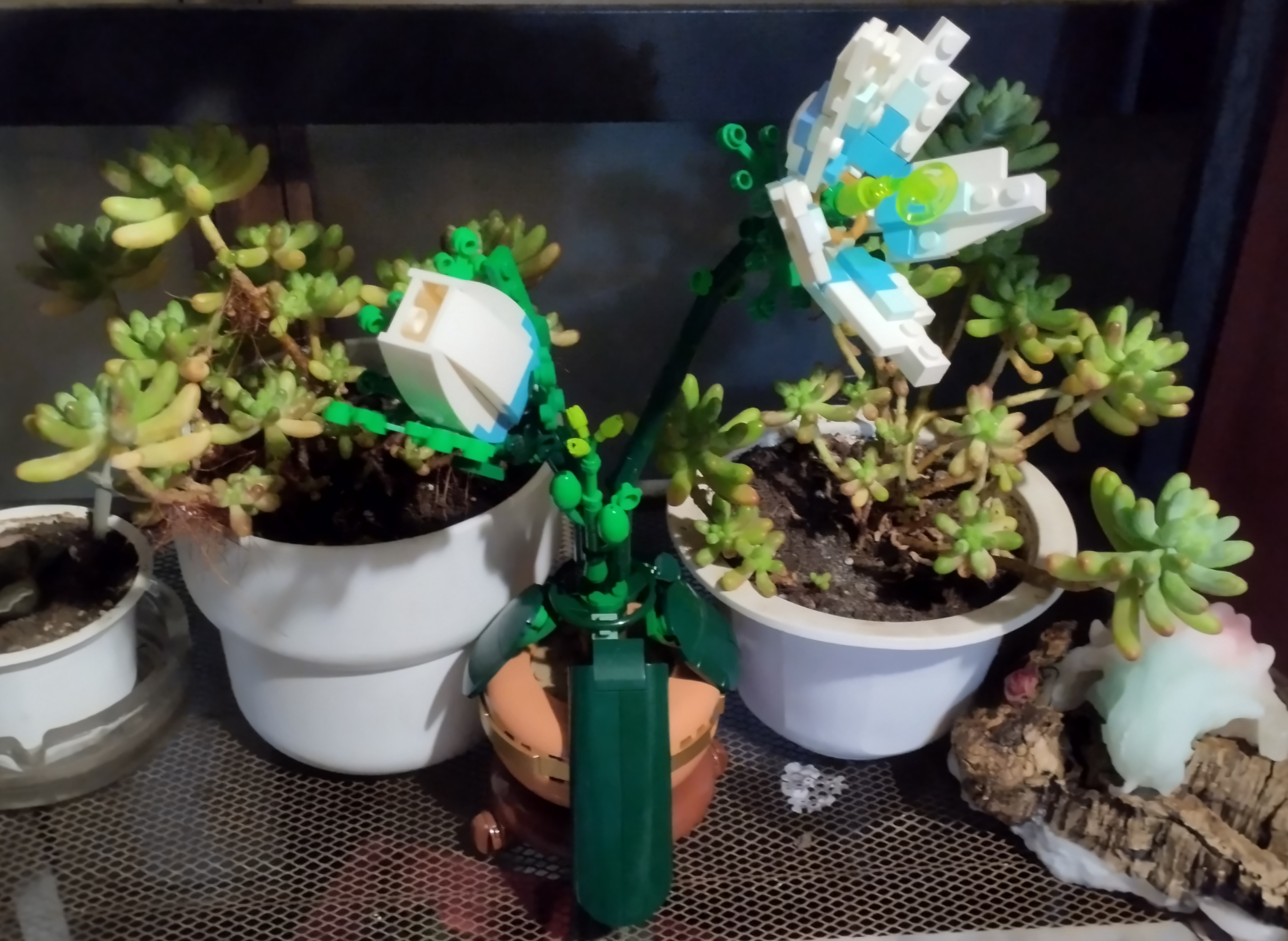conjunto de plantas suculentas en sus tiestos. en medio se ve una planta de Lego que imita la princesa de la calma de zelda breath of the world y tears of the kingdom.
