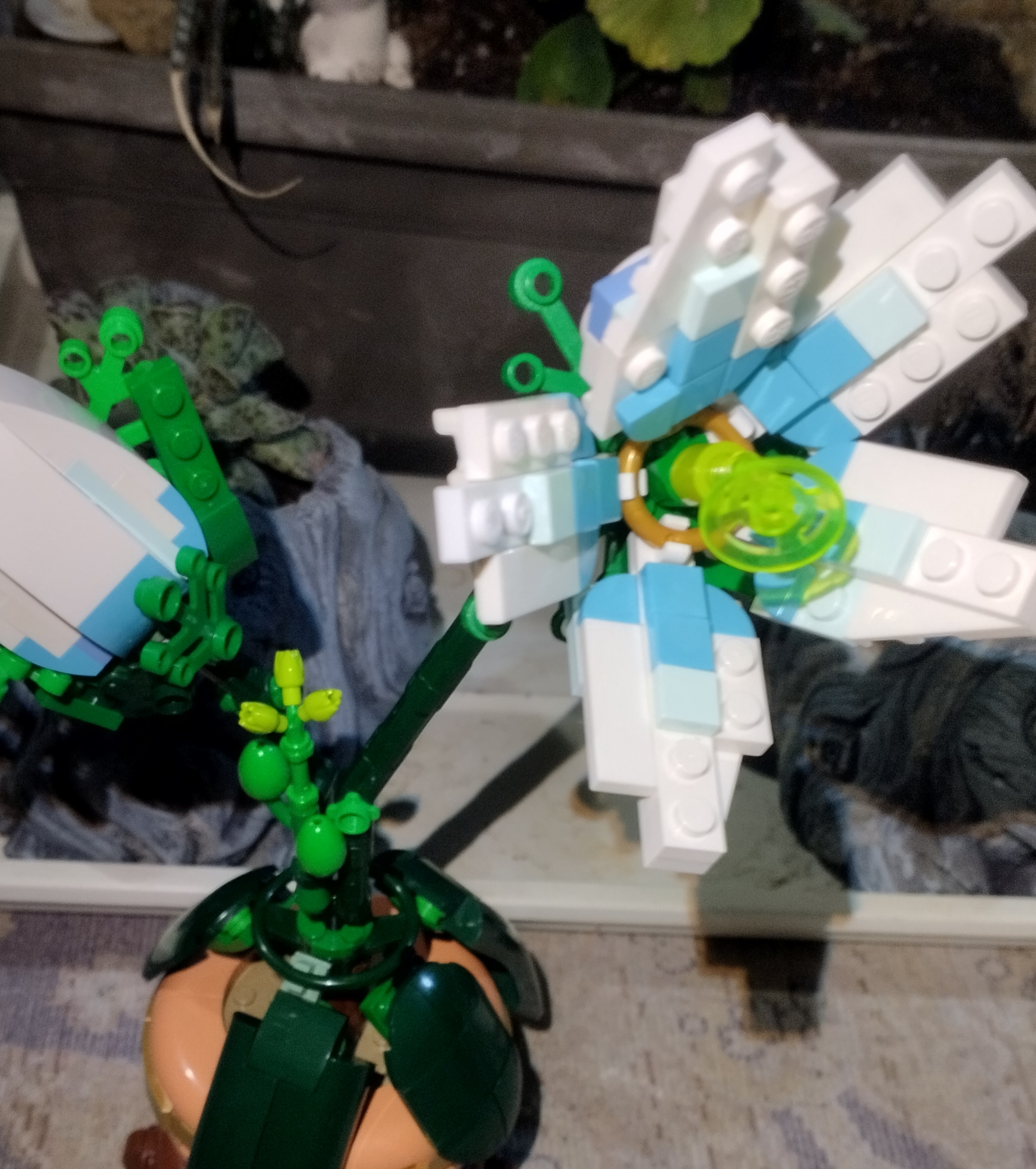 vista en detalle de la flor de la princesa de la calma con sus 5 pétalos