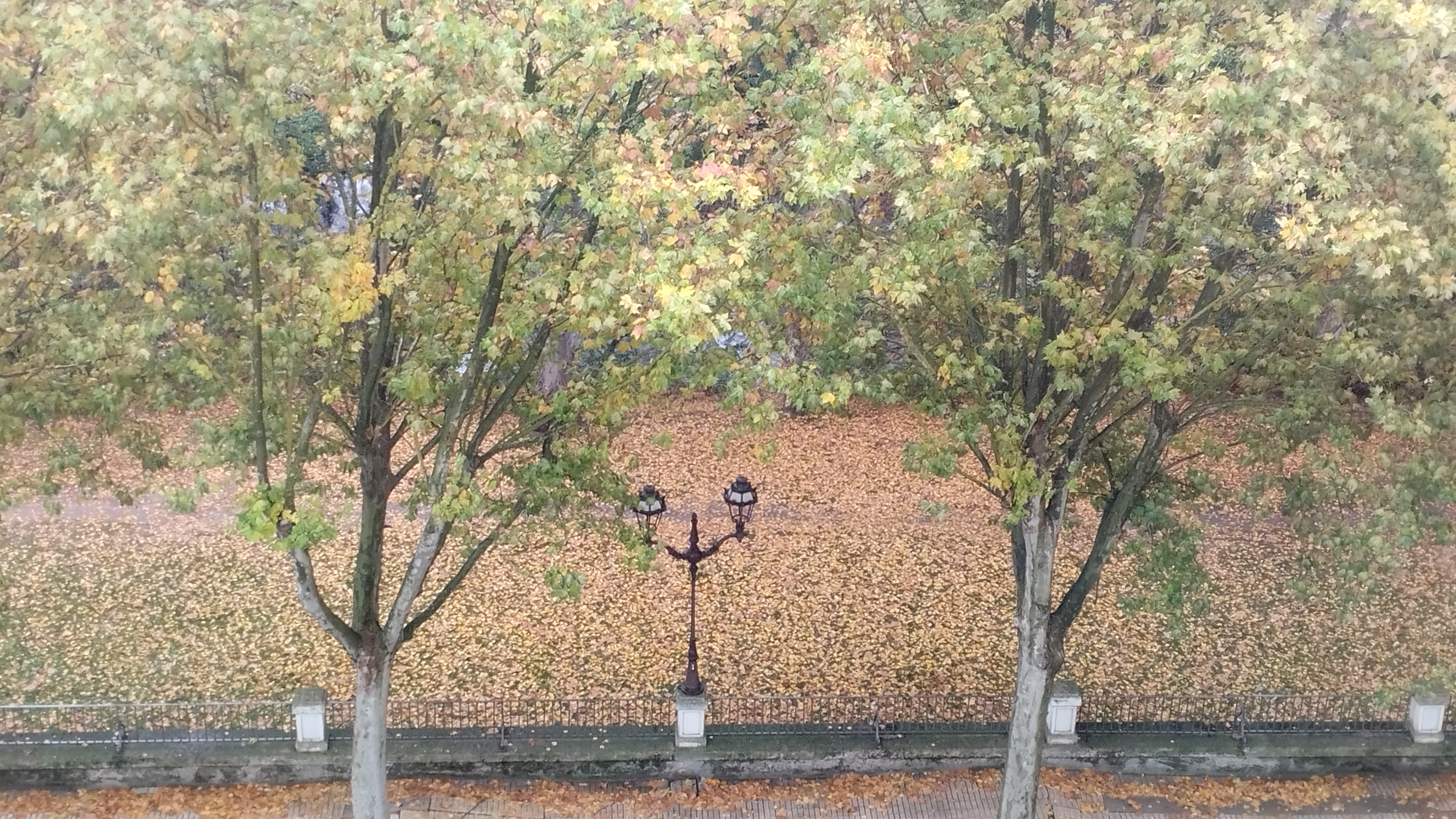vista de la orilla del rio Arlanzón. Se ve una farola y la manta de hojarasca