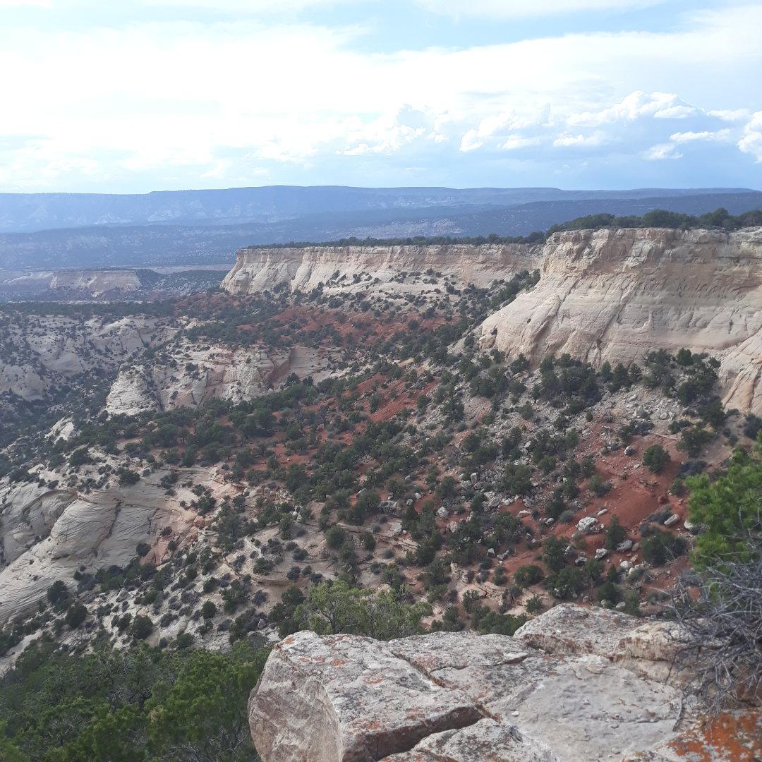 Un cañón de piedras blancas y rojas, con matorrales de artemisa.