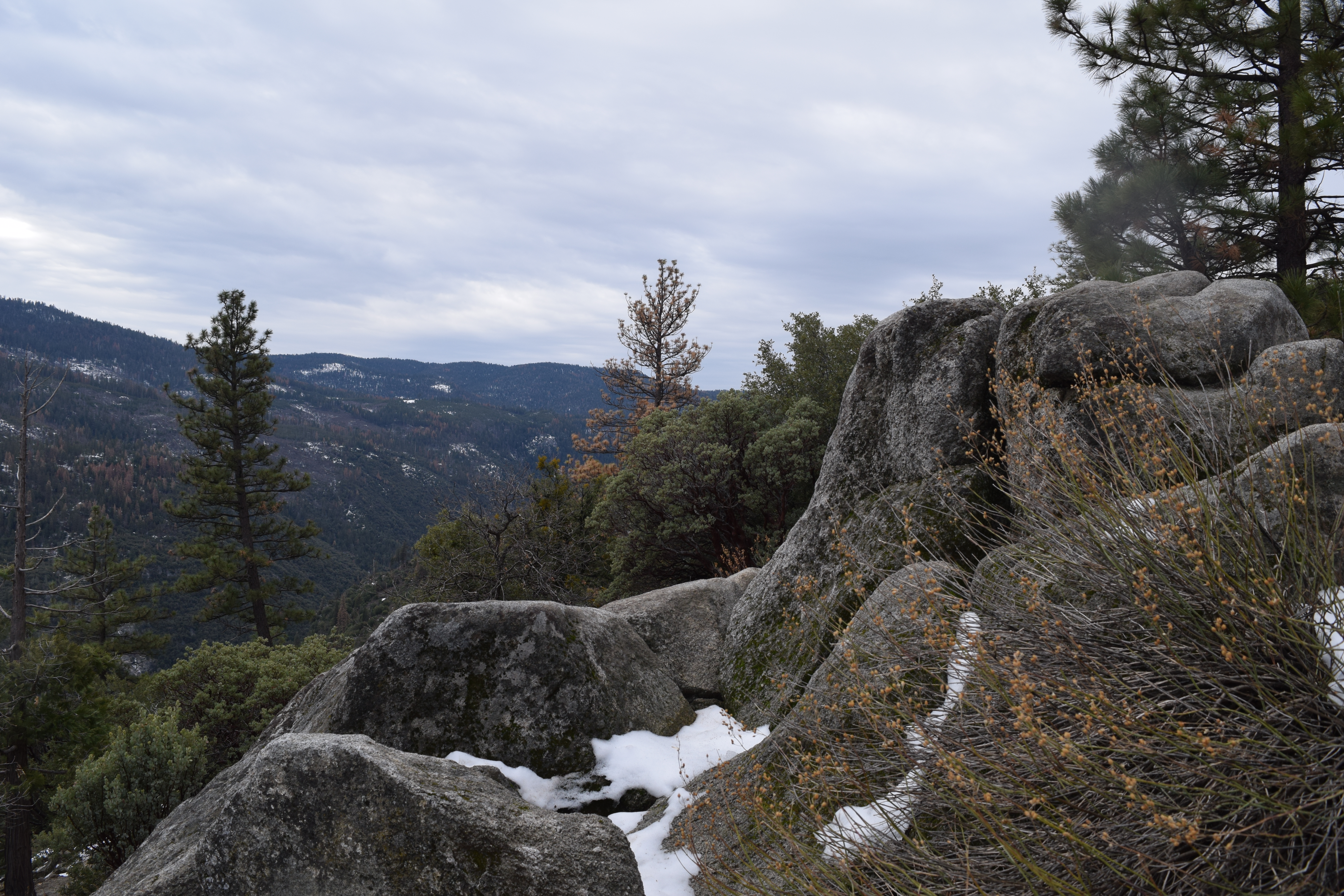 Montañas, piedras, arboles y hielo entre las piedras.